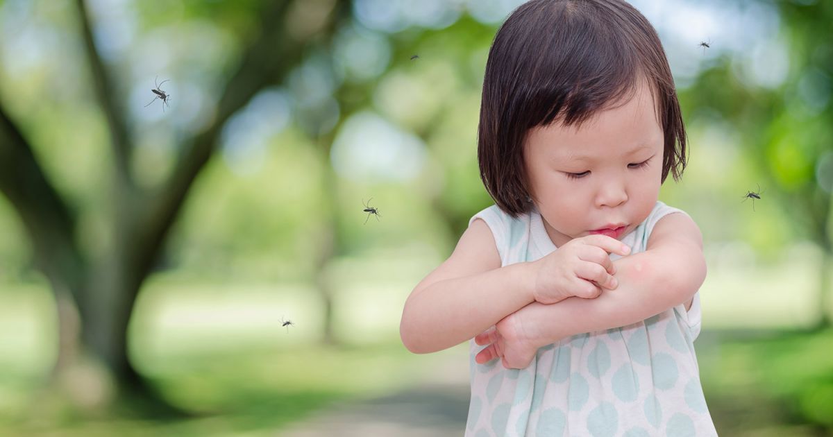 Soulager Les Piqures D Insectes Mamanpourlavie Com